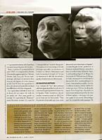 D'ou venons-nous, Science & Vie 1113, 2010-06 (07)